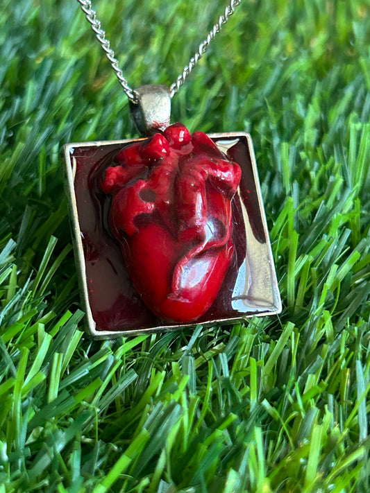ANATOMICAL HEART
