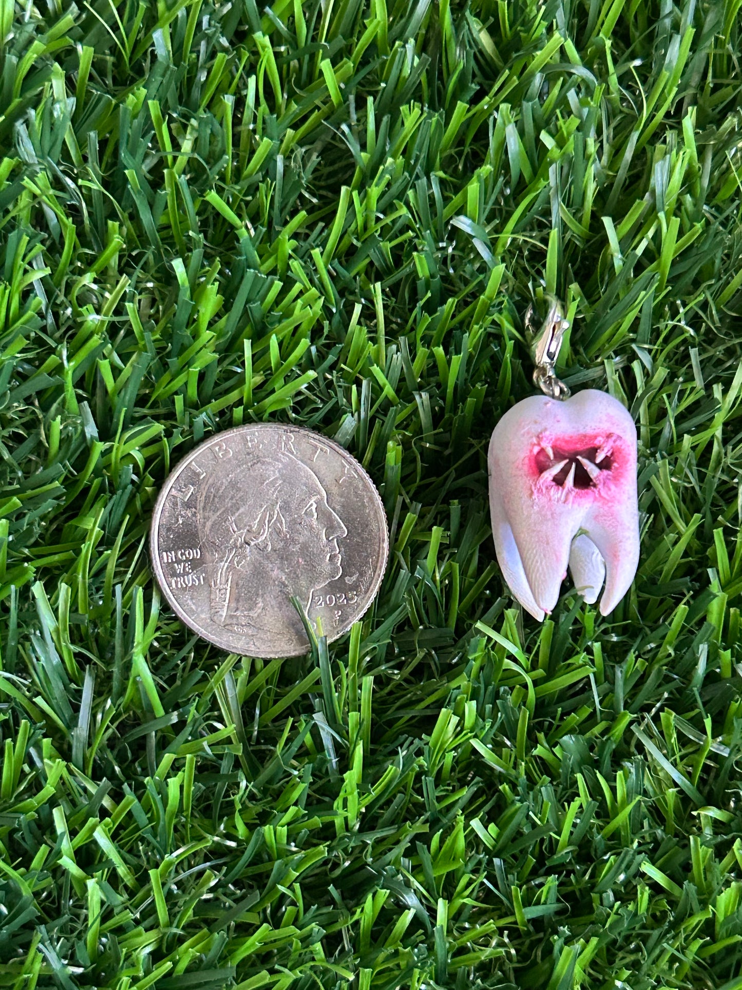 TOOFS WITH TEETHS
